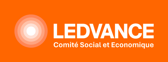 LDV Logo Cse1
